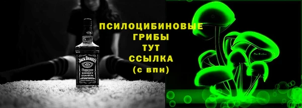 ГАЛЛЮЦИНОГЕННЫЕ ГРИБЫ Костерёво