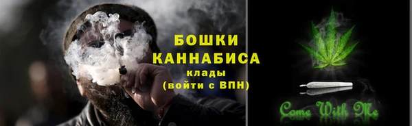 ГАЛЛЮЦИНОГЕННЫЕ ГРИБЫ Костерёво