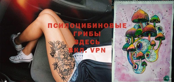 ГАЛЛЮЦИНОГЕННЫЕ ГРИБЫ Костерёво