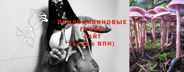 ГАЛЛЮЦИНОГЕННЫЕ ГРИБЫ Костерёво
