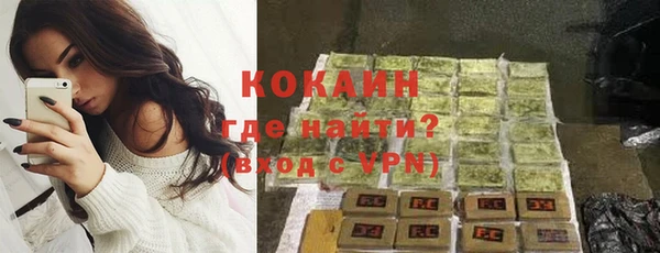 ГАЛЛЮЦИНОГЕННЫЕ ГРИБЫ Костерёво